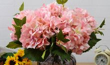 有关亲情之间的陪伴句子