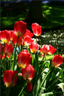 12.为中国的崛起而读书。 -周恩来