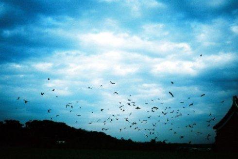 10.什么是幸福？这是为了隐藏你的悲伤和对每个人的微笑。