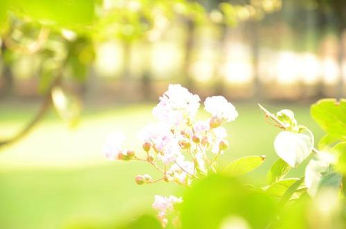 10.亲爱的，我爱你，即使我们是一对老夫妻，我也会在这一天提醒你，因为我们彼此相爱，所以未来是美好的！