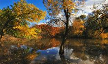 感人肺腑的亲情句子