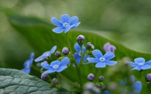 12.我想和我的伴侣一起去秋天旅行，真开心！