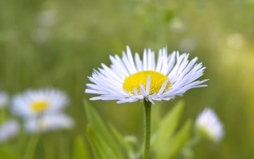 12.愿意与同事分享这种喜悦。