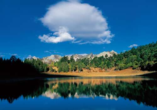 描述美丽风景的句子