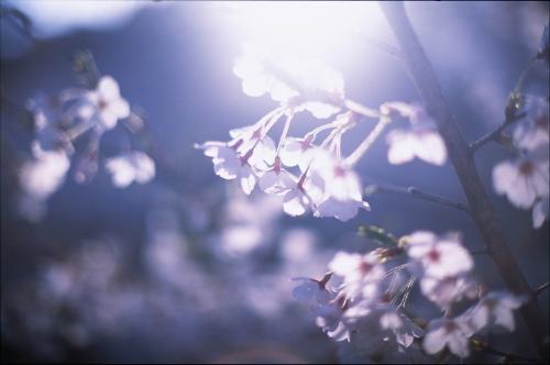 11.今天，我很高兴，因为我的生日在这里。