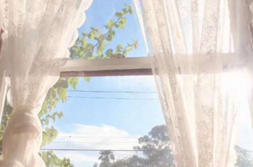 感情谈人生的第七期