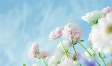 写孔明灯的开心句子