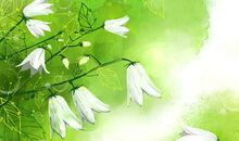 写亲情的句子简洁