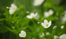 形容断绝亲情的句子