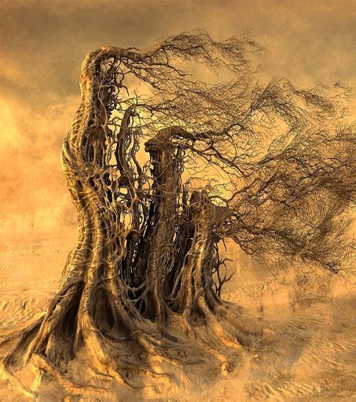 10.唯一的客人是第一个在法庭上听到这棵树的人。