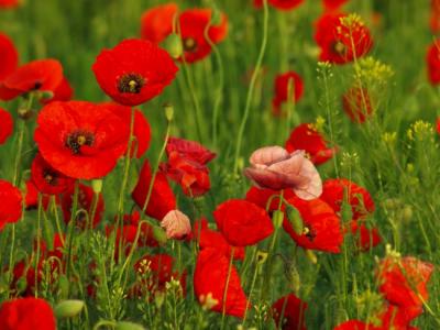 10.有了较少的预设期望,对人们的护理就会更加舒适。