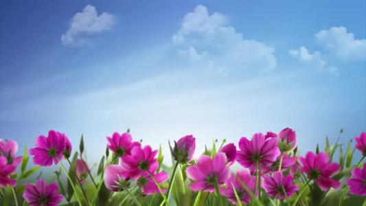 10.我有一个最好的朋友，她不动声色，一言不发，偶尔感到委屈。