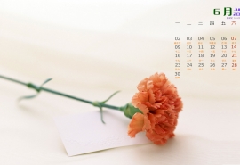 12.您想要什么，只要我有，我会把它给您。你还在外面做什么，留在我身边。