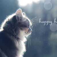 10.我的父母一直以为我不会长大,他们错了。我一直以为我的父母不会老,我错了。祝一切顺利!