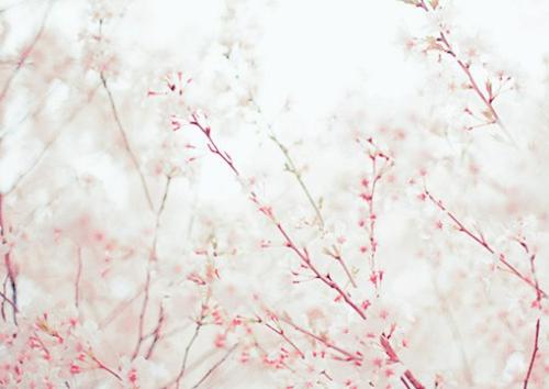 11.祝您一切都好,父母身体健康,宝宝健康成长,我们都健康!