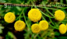 回家个性开心的句子