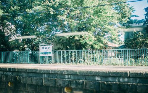 12.母亲是儿童最早，最温暖，最安全和永恒的庇护所。正是这种特殊的生活形式，使母爱在孩子的生活中扮演着不可替代的角色，一个接一个地创造奇迹。