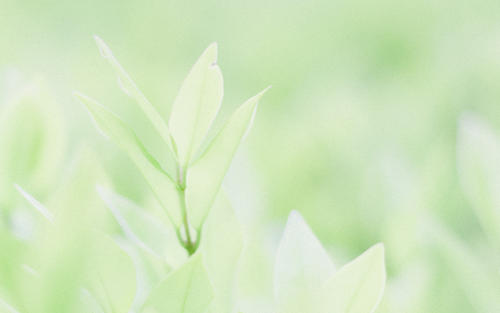 10.在这个世界上，只有母亲对孩子的爱才是最真诚，最无私和最广泛的。