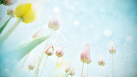 12，亲情就像水，过滤后的复杂性变得纯净；家人的感情就像火，使整个煅烧日变得平淡无奇；家庭的情感是诗歌，所以无聊被改造成一种心情。家庭深情，生命的永恒力量。