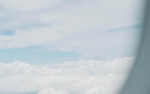 10.詹慧每个人都收集弓箭，然后返回西部的家乡。