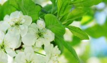 描写心情开心的句子段落100字