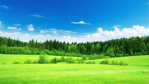 9.他帮了您一个忙，他现在给您了，表达他！表达他的是他给了您一个忙，他给了您一个忙！