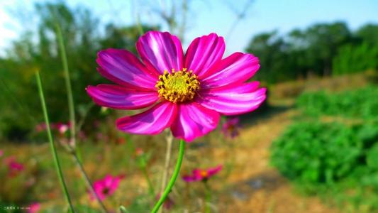 12.眼角的泪水已经干dried了,现在我认为钱仍然很重要。它可以穿透人们的心灵,可以帮助我们维持家庭。我努力工作,我愿意,我能做到。