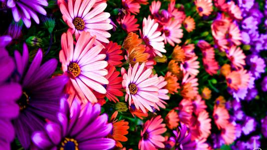 11.在某些人的世界中,家庭感情是自然而自然的。毕竟,移情并不存在。