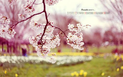 12.生活中总会有大起大落。与其为失败的过去而挣扎，不如为美好的未来而奋斗。晚安。