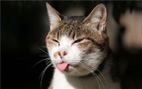 10.如果一切顺利,天将会晴朗。根据天气,你应该死了。 。 。