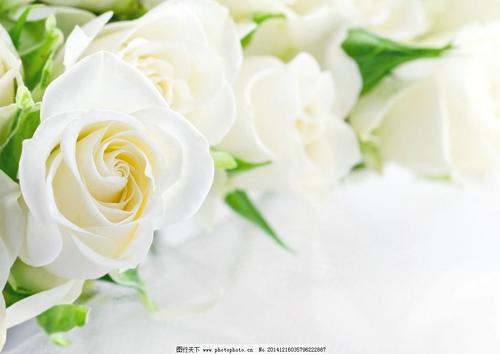 11。为什么有些人为了金钱而无视家庭和友谊？钱好吗？他们只认钱，却不认人。我无语，我喝醉了〜