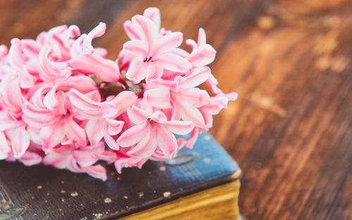 12即使在一个强大的家庭中，这也不值钱，更不用说认钱了，但是在您最困难的时候就认不出钱了。我想说的是，有一天我会看到你如何死于金钱。