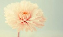 描写亲情的名家优美句子