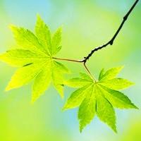 10.世界上有一切。幸福,只有那些愿意并且能够接受的人才能快乐。我的家也是如此。有些东西就像哈哈镜和平面镜的组合。在我快乐的家中也是如此。