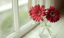 亲情语录正能量句子