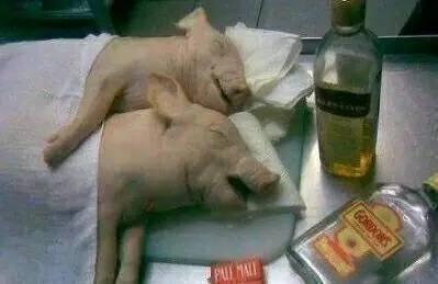 11.“我有点沮丧”“怎么了?” “我有一天没见过你了”