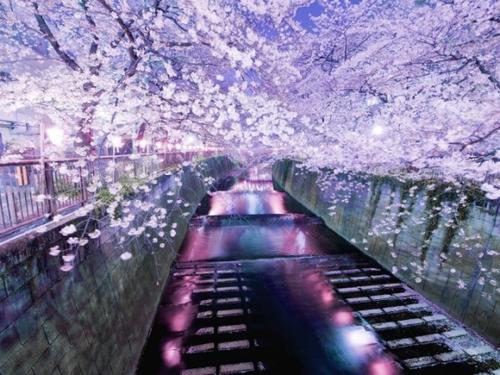 9.那种无助和绝望的感觉是，你离他很近，但你不能爱他，愿意给他手，只是为了让他开心。