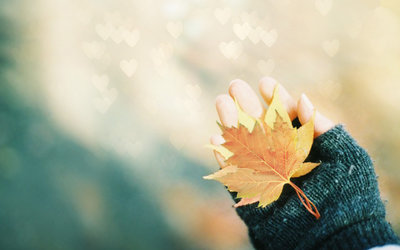 10.没有母亲的家庭是什么?-霍桑(Ai Hawthorne)