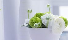 美到窒息的古风句子关于亲情