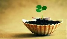 有关小草的名言