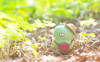 10.一个幸福的家庭是培育儿童和成人的温床,家庭生活的快乐是抵抗不良气氛毒药的最佳动力。