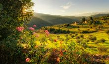 形容开心的一天的句子英语怎么说