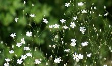 亲情群里暖心的句子