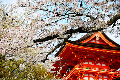 11.能让您快乐的人可能不是您周围最富有，最有能力和最受过教育的人，而是您周围最有价值的人。