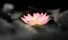 描述两代人亲情的句子