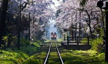 把开心带给别人的句子