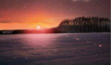 表示开心的英语句子说说