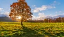 发表说说开心的句子