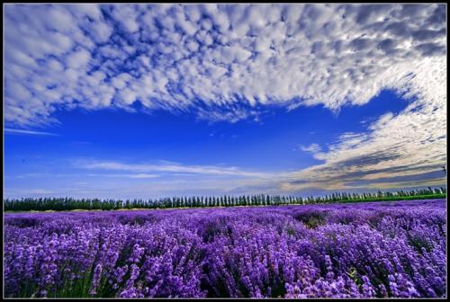 11.与世界上几个人见面,笑了一百年,可能会几次。 -何梦桂,《墨雨儿,记录岁月在哪里》