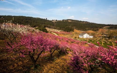 11.总是想办法让自己开心